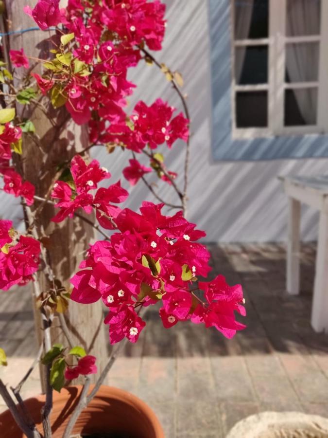 Casa Largo Do Poco Guesthouse 阿尔沃尔 外观 照片